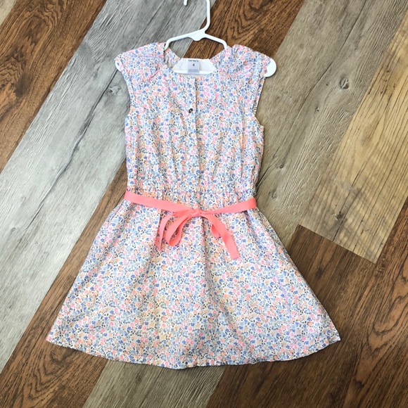 carters dresses 4t